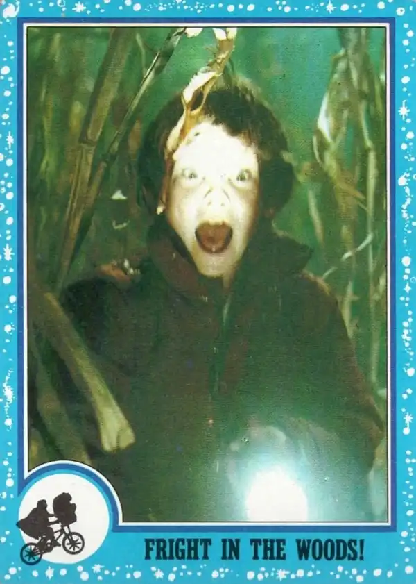 Fright in the Woods